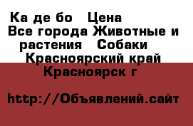 Ка де бо › Цена ­ 25 000 - Все города Животные и растения » Собаки   . Красноярский край,Красноярск г.